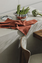 Indlæs billede til gallerivisning Tilbud - 2 stk. Hør Viskestykker for 299,- i farven Terracotta