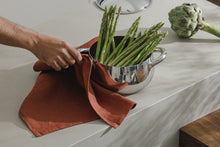 Indlæs billede til gallerivisning Tilbud - 2 stk. Hør Viskestykker for 299,- i farven Terracotta