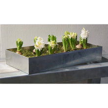 Indlæs billede til gallerivisning Høj Bundbakke til Maxi Væksthus