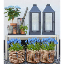 Indlæs billede til gallerivisning Galvaniseret Havebænk 115 - 1 Sektion