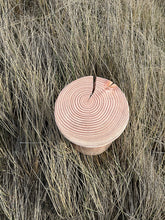 Indlæs billede til gallerivisning Nor fra Katholm serien, Skammel i Douglas