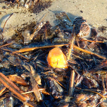 Indlæs billede til gallerivisning Armbånd med rav og sten #2