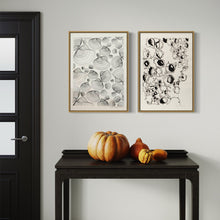 Indlæs billede til gallerivisning Shells Grafik, Plakat