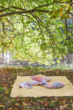 Indlæs billede til gallerivisning PET Runner SILDEBEN