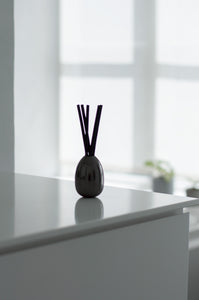 Reed Diffuser Set | More Scents